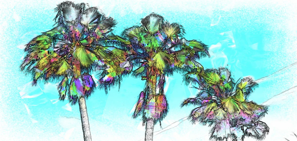 Sabal Palms